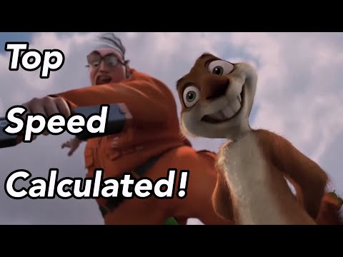 How Fast is Hammy from Over The Hedge?