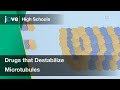 Drugs that destabilize microtubules  cell bio  textbooks  preview