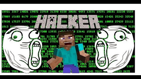 Mineplex HILARIOUS hacker