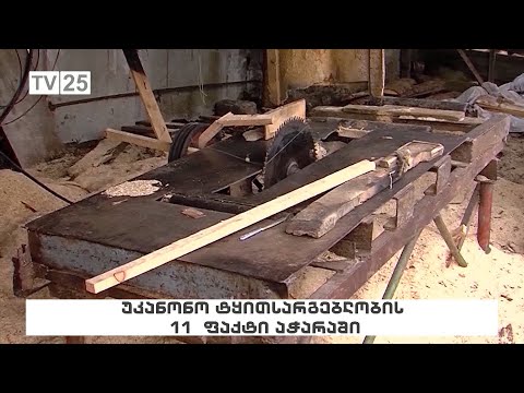 უკანონო ტყითსარგებლობის 11 ფაქტი აჭარაში