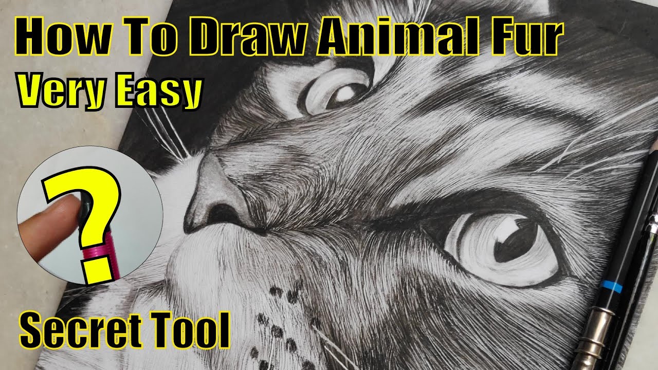 How To Draw Fur 😲| Drawing Animal Fur (Cat) |Step By Step Drawing