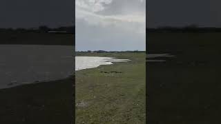 Разлив реки Илек 14 04 2022 Чингирлауский район 
