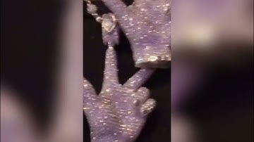 JPG* - NEW Ken Carson Snippet (Instagram Story)