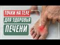 Как улучшить работу печени | Китайская медицина | Роман Полежаев