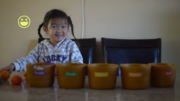 Learn colors with the Learning Resources Farmer