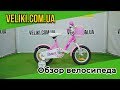 Обзор велосипеда Royalbaby Chipmunk MK 12 Girls (2020)