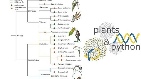 Genome Visualization and Comparative Genomics in Plants