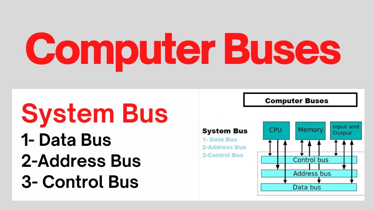 Intro. to Computer Lecture 16: Computer Buses | System Bus | Data and  Address Bus | Control Bus - YouTube