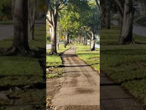 Morning walk in new neighborhood