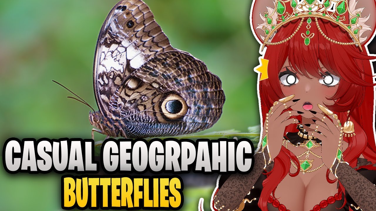 Butterflies are NOT your Friend !! | Casual Geographic Reaction