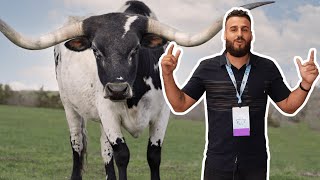 Devops Days Dallas 2022