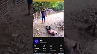 funny video 🤣🤣 part 07 #shorts #funny #funnyshorts #viral