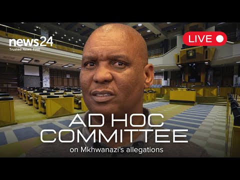 WATCH LIVE Senzo Mchunu S Chief Of Staff Cedric Nkabinde Appears Before Ad Hoc Committee