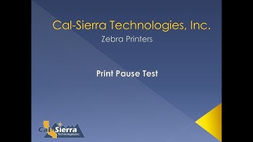 How to Print a Pause Test on Zebra Industrial Printers