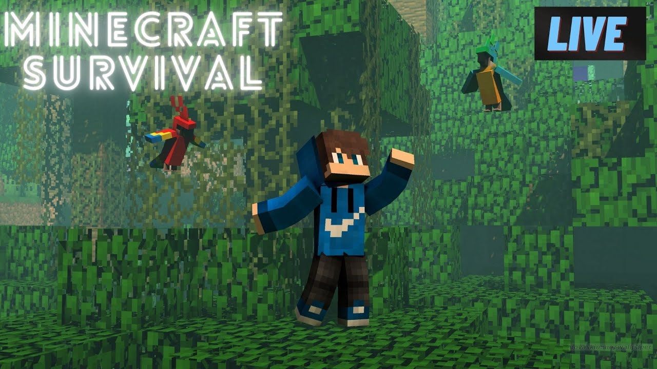Minecraft Live | Lets Build Our House | Minecraft Survival | #nmbgamer ...