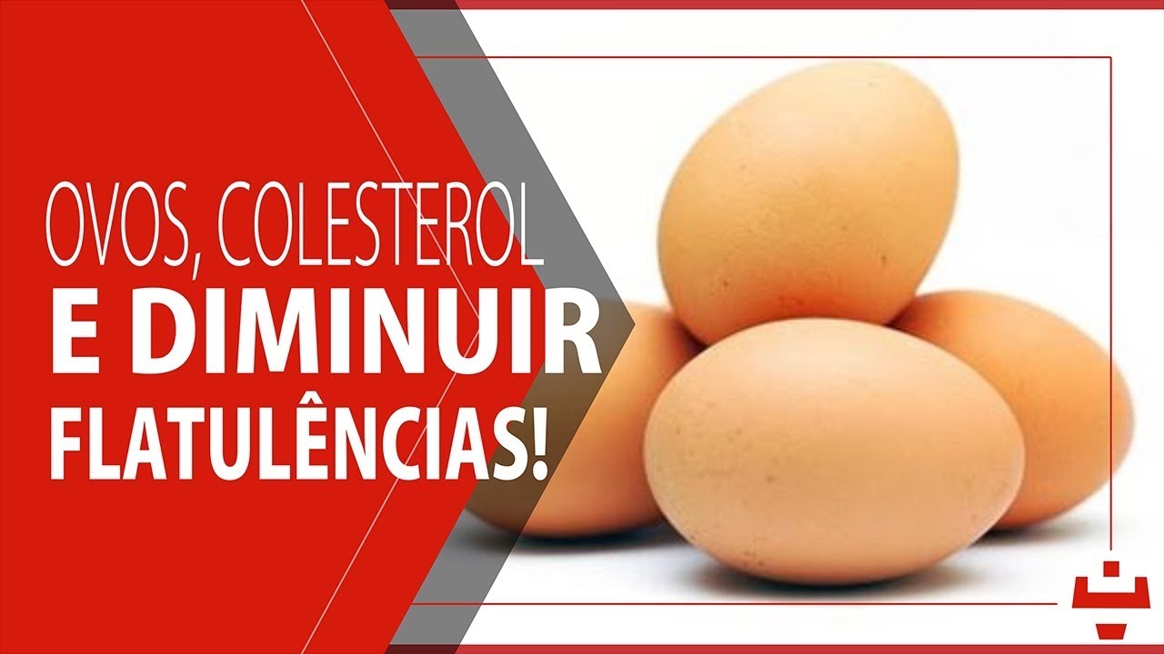 OVOS, COLESTEROL E DIMINUIR FLATULÊNCIAS suplementos vitaminicos