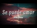 Se puede amar - Pablo Alborán ( Letra + vietsub )