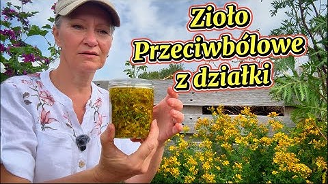 Zmniejsza Nerwobóle, Goi Rany i Regeneruje Nerwy
