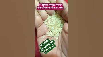 11 दिसंबर गुरुवार सप्तमी चावल,तेजपत्ता,लॉन्ग का खास उपाय,मांलक्ष्मी विराजमान होंगी#facts​ #ytshorts​