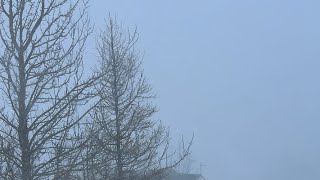 Iceland Snow storm Reydarfiordur 16-01-24