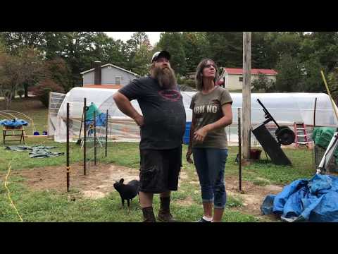 cattle-panel-chicken-coop