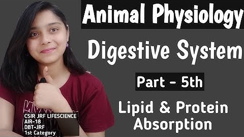 Digestive System - Absoption Part 2nd ANIMAL PHYSIOLOGY CSIR-NET JRF LIFESCIENCE