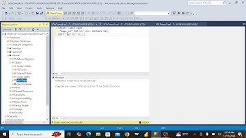 SQL Database Fundamentals! How to Create, Rename, Delete Databases & Build Connected Tables