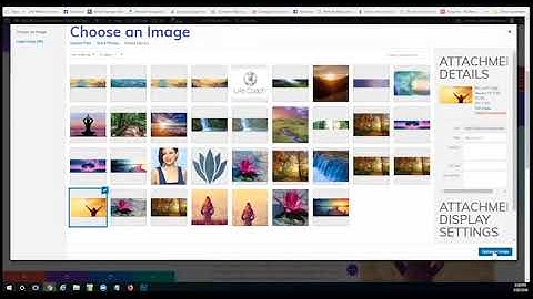 How To Use the Divi Visual Editor, WordPress Divi Tutorial