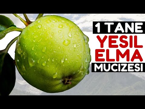 Video: Yeşile geçmenin dezavantajları nelerdir?