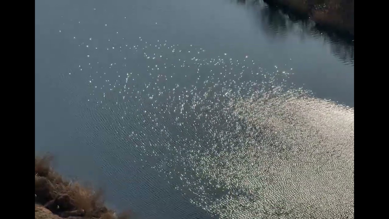 나는 왜 나를 몰아붙일까