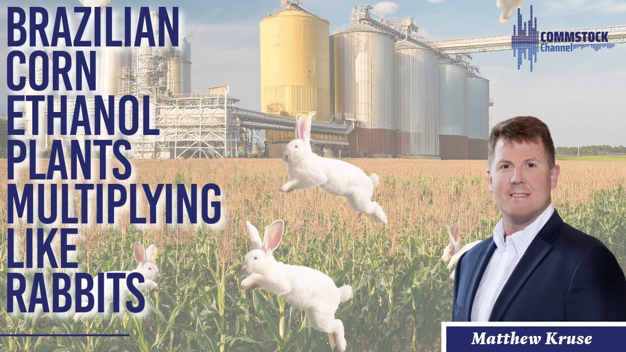 Brazilian Corn Ethanol Plants Multiplying Like Rabbits With Matthew ...