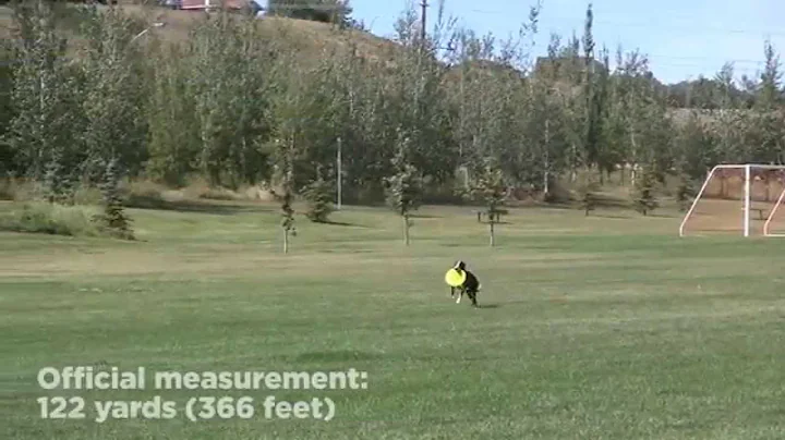 122 Yard Frisbee Throw and Catch with Davy Whippet - World Record Attempt