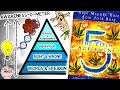 The Fifth Agreement by Don Miguel Ruiz - A Practical Guide To Self-Mastery - Animated Book Summary