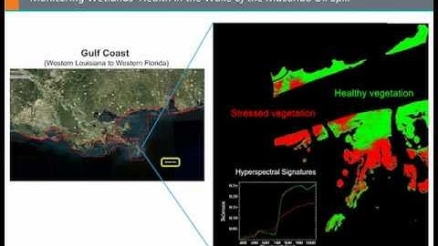 Hyperspectral Imaging