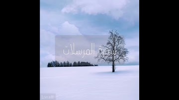 سورة : المرسلات القارئ : سلطان الروكان