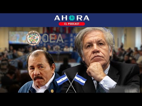 OEA saca bajo consenso resolución de condena contra el régimen de Nicaragua