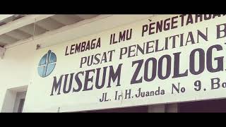 Musium Zoologi Boogor.cocok Untuk Menambah Wawasan Mu Tugas Simdig