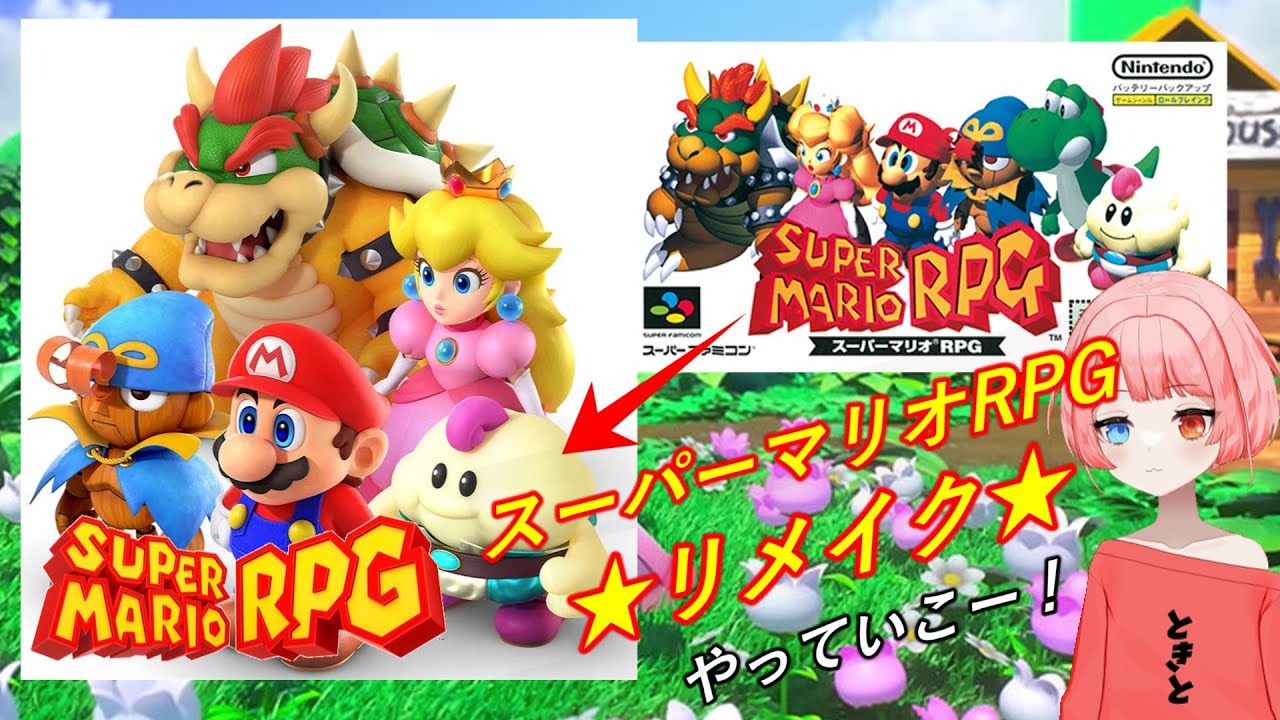 虎*丸様 スーパーマリオ 3Dコレクション 【スーパーマリオ 3D