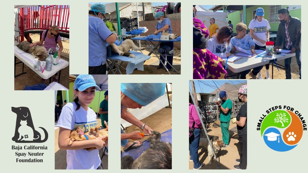 SPAY IT FORWARD DAY Video