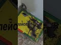 Мыши на пасеке Отличная мышеловка #анатолийстрелец