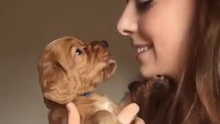 Cute Girl Playing With her Little Puppy