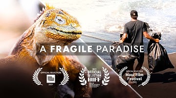 GALAPAGOS ISLANDS - (Part 2)