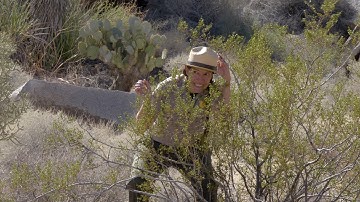 Audio Described Version: Granite Desk: Camouflage