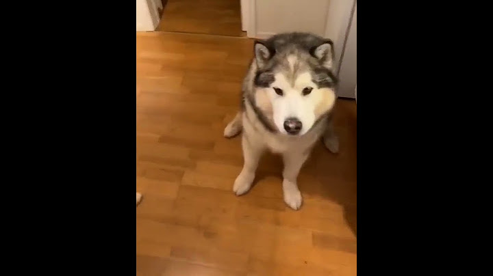Я не голоден