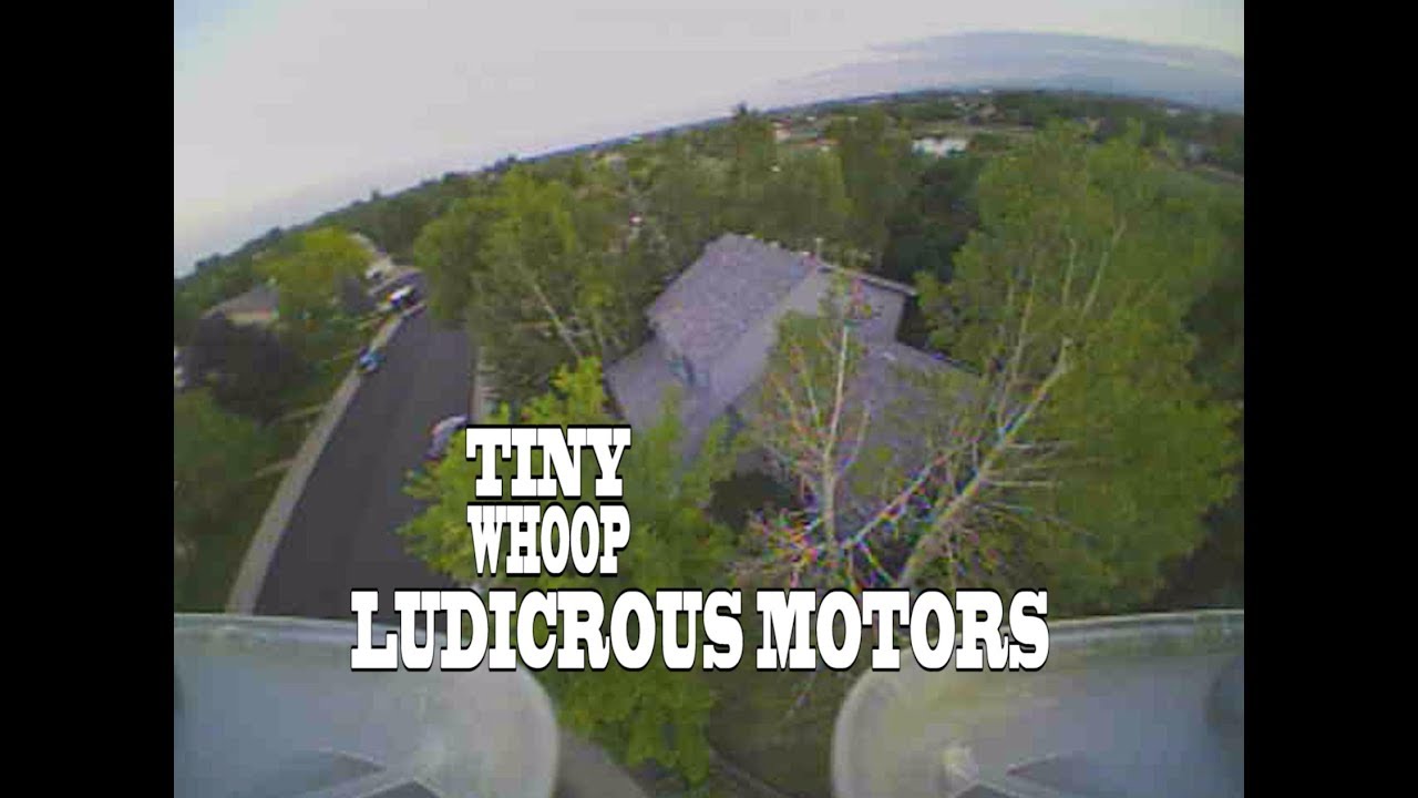 Ludicrous Motors Testing  - Tiny Whoop