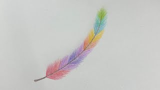 How to draw beautiful feather with colour pencils