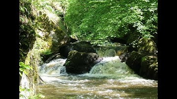 الرقية الشرعية -سورة الدخان -مكررة بصوت أحمد العجمي