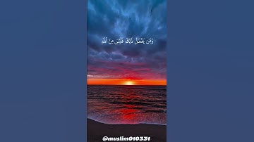 سورة آل عمران، الآية 28، القارئ ياسر الدوسري