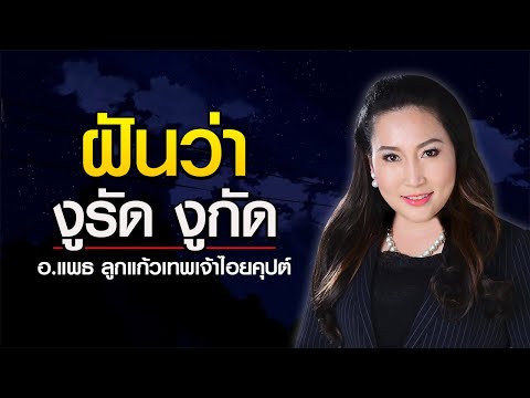 ฝันเห็นงู งูรัด งูกัด หรือตีงูตาย ตีความหมายได้แบบนี้