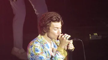 Harry Styles - From the Dining Table - The Chain (Cover) - Kiwi Live in San Jose, CA